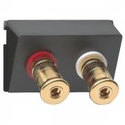 Аудиорозетка WBT (+/-) для подключения акустических систем класса High-End Gira механизм