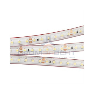 Лента RTW 2-5000PS 24V Day4000 2x (3528, 600 LED, LUX)