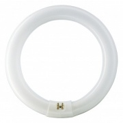 Люминесцентная лампа кольцевая Philips TL-E Circular 32W/54-765 T9 G10q, 305mm